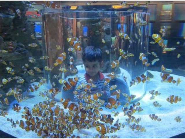 Adi_in_SA_-_Adi_inside_aquarium