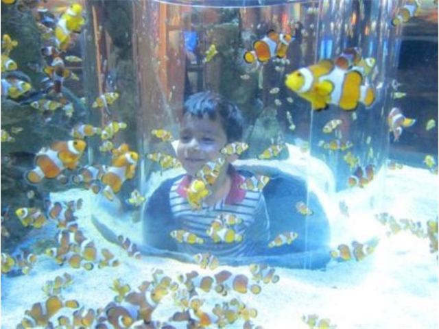 Adi_in_SA_-_Adi_inside_aquarium2
