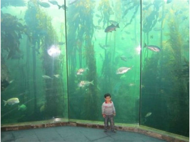 Adi_in_SA_-_Adi_inside_aquarium5