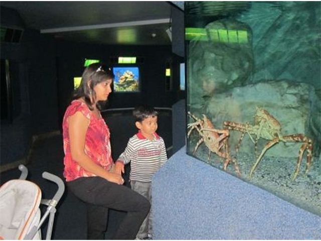 Adi_in_SA_-_Aquarium10_-_Adi_and_Sarita_in_aquarium
