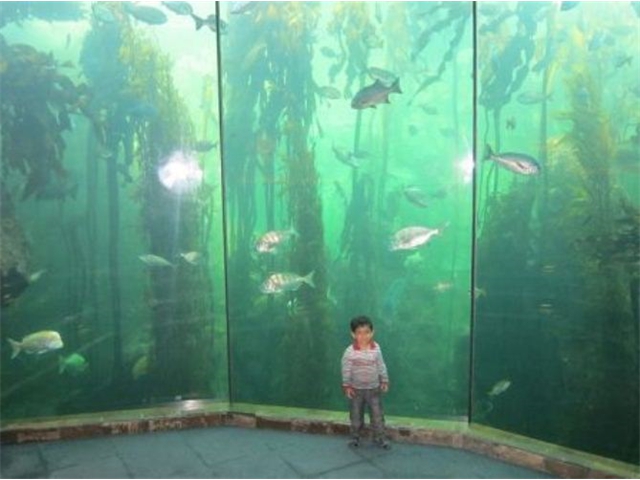 Adi_in_SA_-_Aquarium14_-_Adi_in_midst_of_aquarium