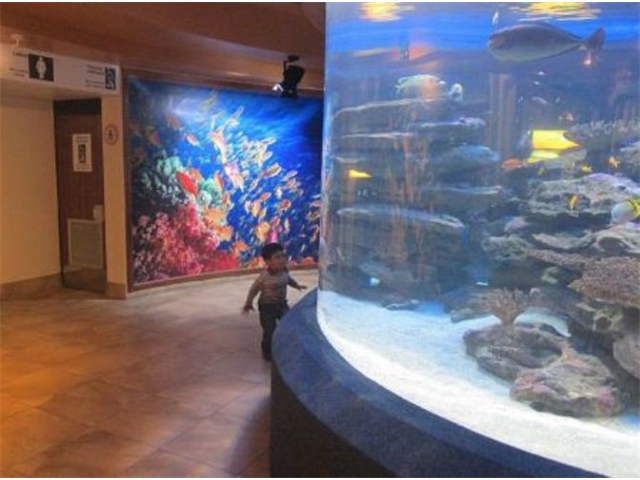 Adi_in_SA_-_Aquarium2_-_Adi_Amazed