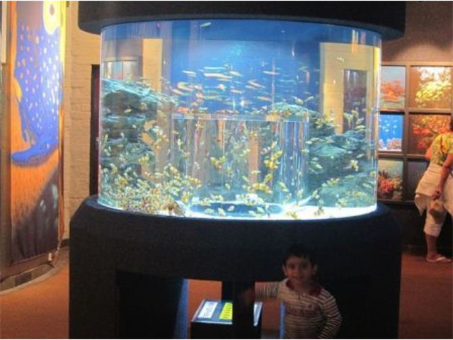 Adi_in_SA_-_Aquarium3_-_Adi