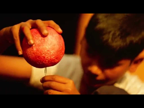 Bihar: The Land of Knowledge (A Tribute to Aryabhatta by Bihar Toursim)