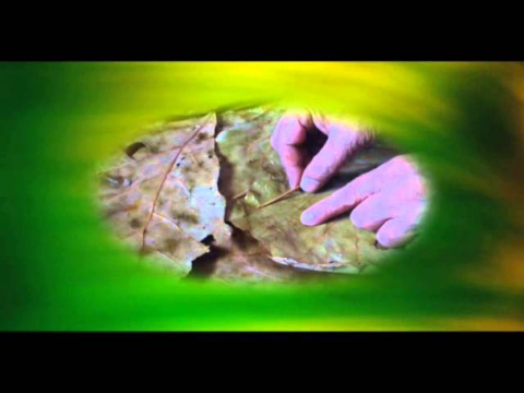 Personalities Of India   Annasaheb Karve Film No 153