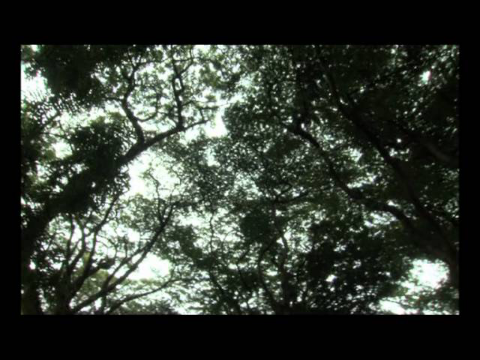 Documentary on HOMI. J. BHABHA. A TIFR production. (Part 1-2)