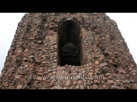 The incomplete Alai Minar near Qutub Minar