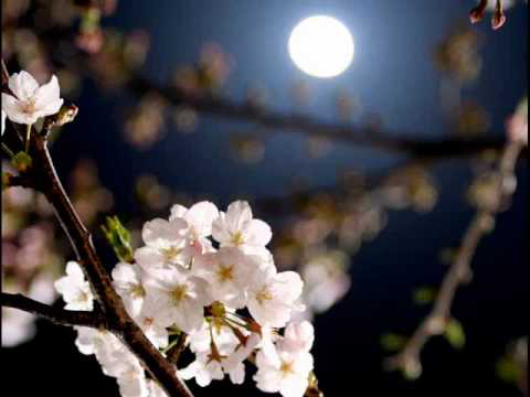 Kaisi Ye Dhoom Machai, Shrimati Girija Devi, Pandit Kishan Maharaj, Pandit Ramesh Mishra