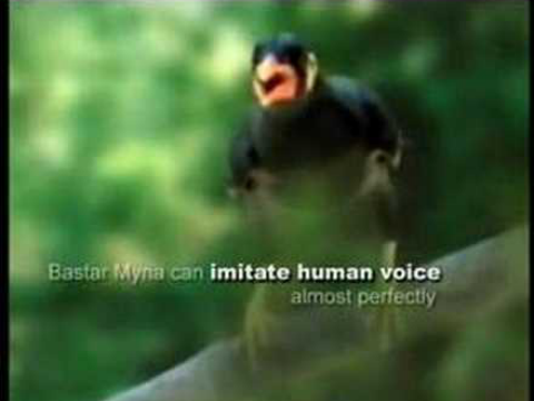 chhattisgarh tourism