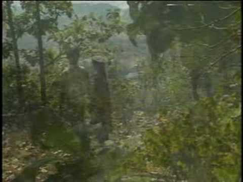 Welcome to Dadra & Nagar Haveli Part 1