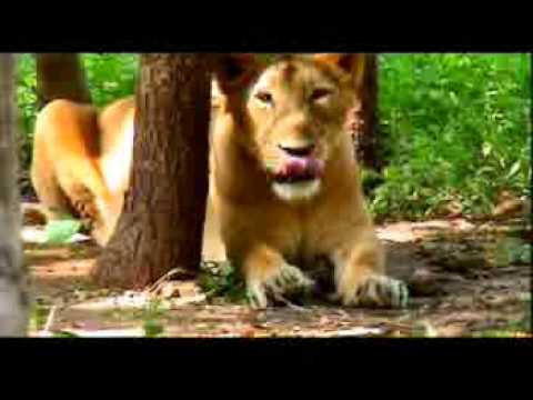 DADRA AND NAGAR HAVELI :- Tourism Information of Dadra & Nagar Haveli