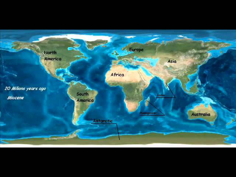 The Geological Periods of Earth
