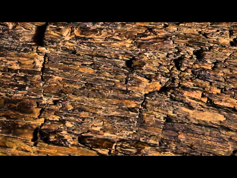 Geological Survey of India