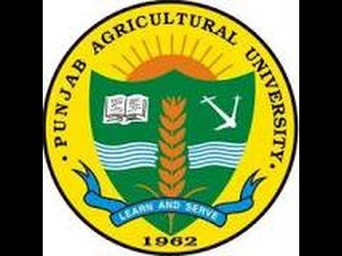 The founders of the Green Revolution in India.