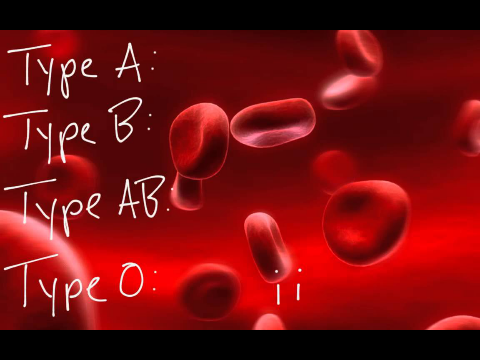 Human Blood Types