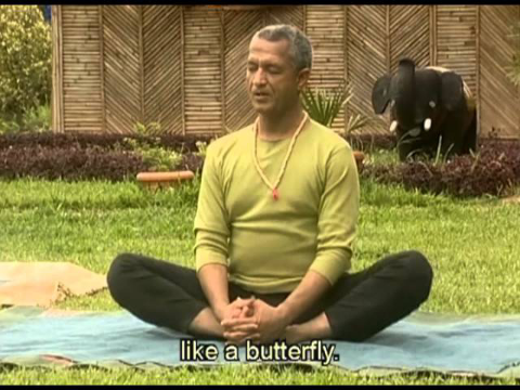 Warm Up Exercise Yoga For Beginners In Hindi