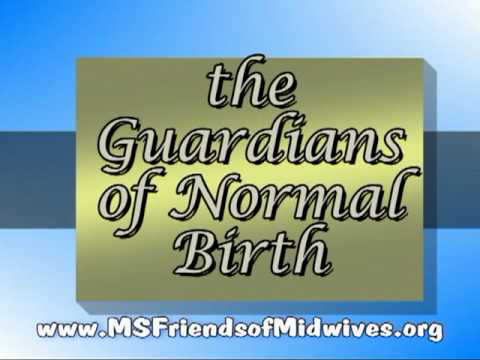 What do Midwives Do?