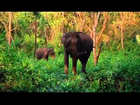 Karnataka Documentary 4