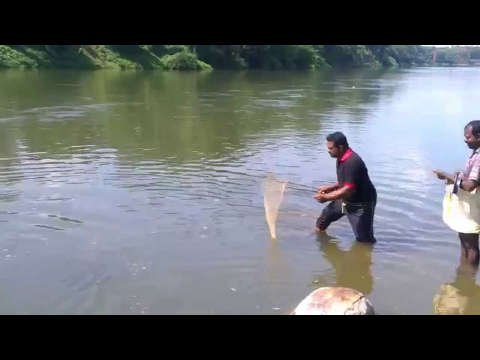 kerala local style fishing
