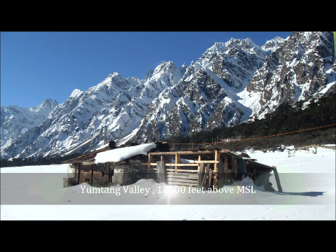 Yumthang Valley North Sikkim, A Photographic Journey HD 1080p