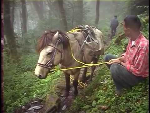 SIKKIM  2001  full length documentary