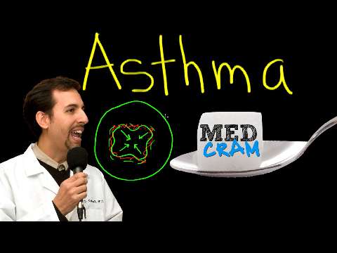 Asthma Explained Clearly