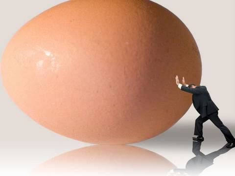 Are Eggs Bad For You? Egg Cholesterol Myths, How the Body Works, Clinical Nutrition