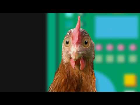 Hartmann World-Egg-Day Movie 2009