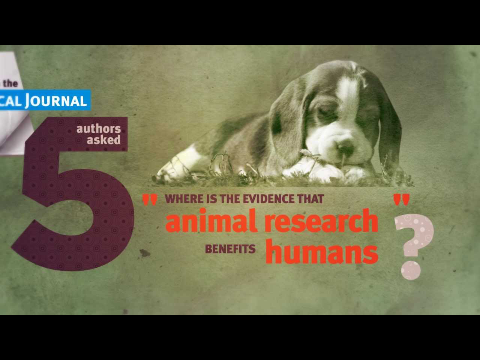 ANIMAL TESTING: some facts