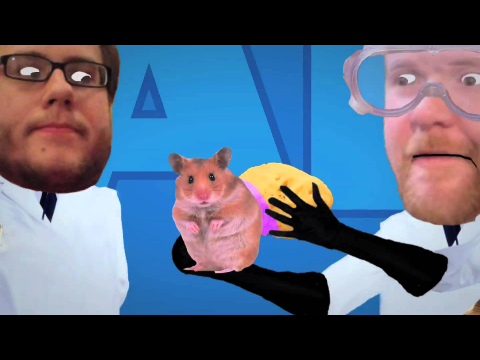 Fighting Animal Testing: Cruelty Free Cosmetics