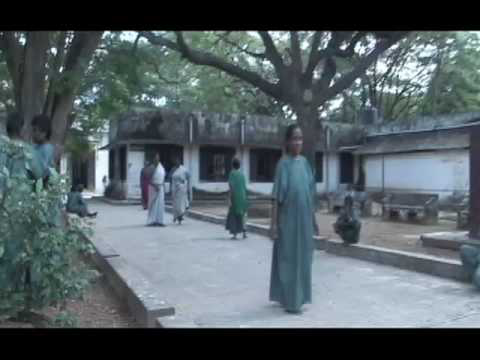 Institute of Mental Health Video