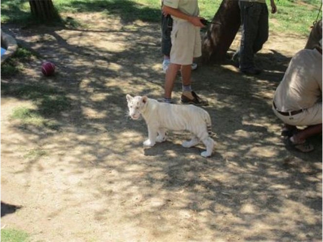 Adi_in_SA_-_Cheetahland3