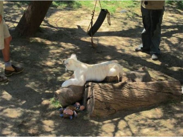 Adi_in_SA_-_Cheetahland4