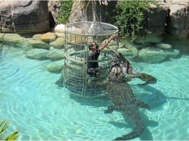 Adi_in_SA_-_Crocodiles - Copy