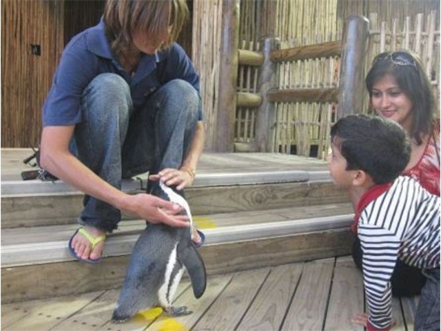 Adi_in_SA_-_Adi_and_Sarita_learning_about_Penguin