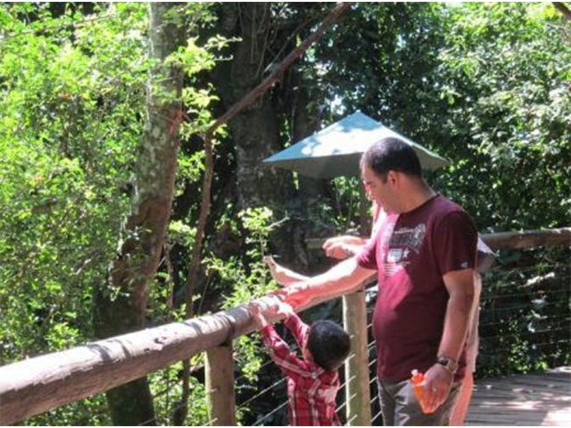 Adi_in_SA_-_Adi_Sachin