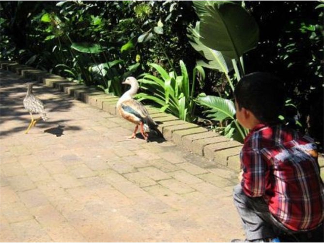 Adi_in_SA_-_Birds_-_Adi3