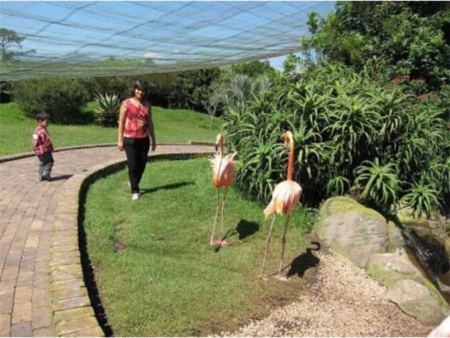 Adi_in_SA_-_Birds_-_Cranes3_-_Adi_and_Sarita