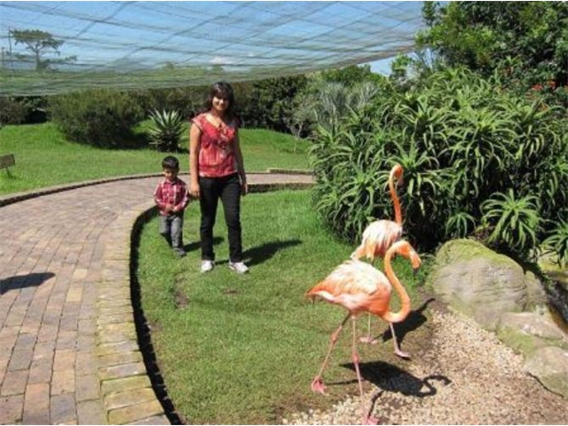 Adi_in_SA_-_Birds_-_Cranes3_-_Adi_and_Sarita2