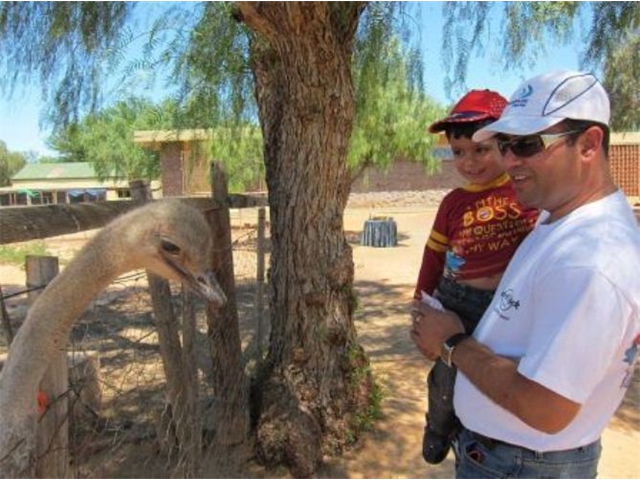 Adi_in_SA_-_Birds_-_Ostrich14