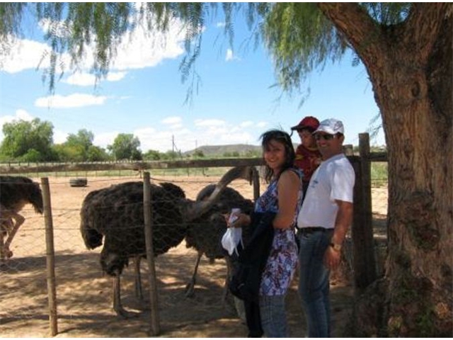 Adi_in_SA_-_Birds_-_Ostrich2