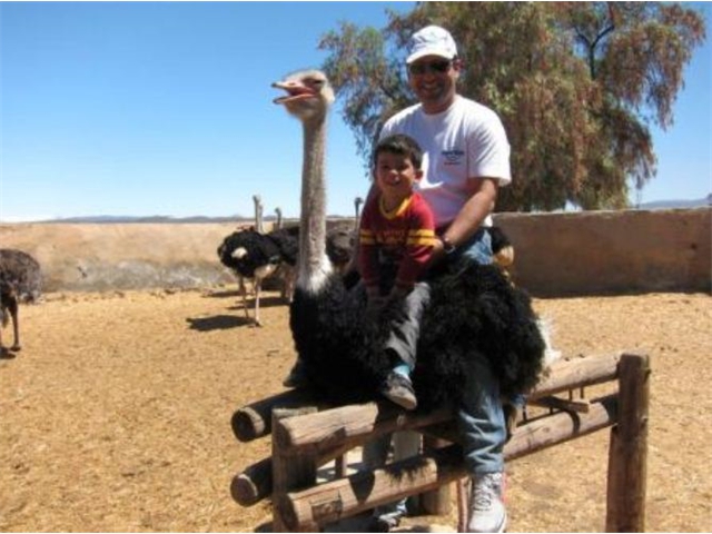 Adi_in_SA_-_Birds_-_Ostrich3