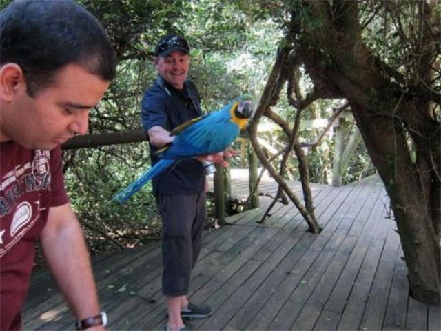 Adi_in_SA_-_Birds_-_Parrots4