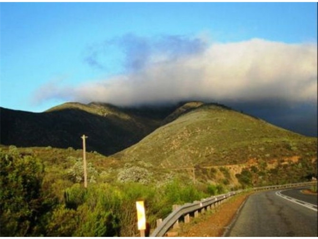 Adi_in_SA_-_Landscape11 - Copy