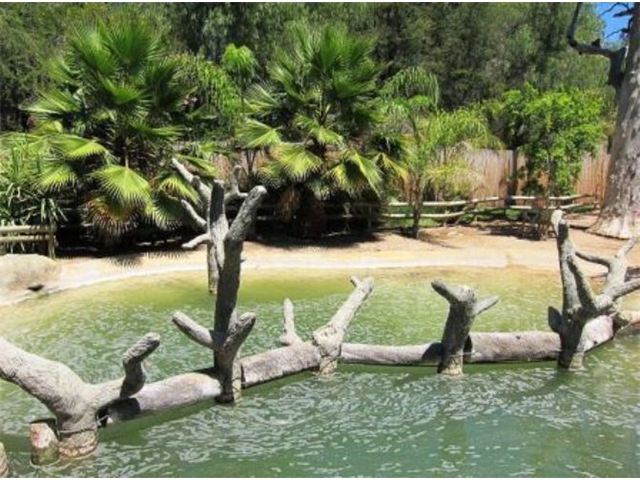 Adi_in_SA_-_Landscape130 - Copy