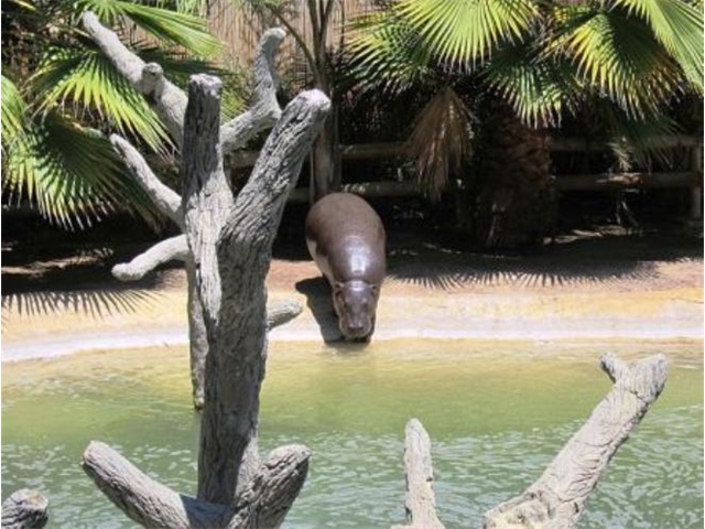 Adi_in_SA_-_Landscape131