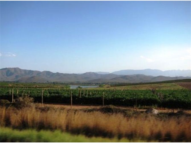 Adi_in_SA_-_Landscape135