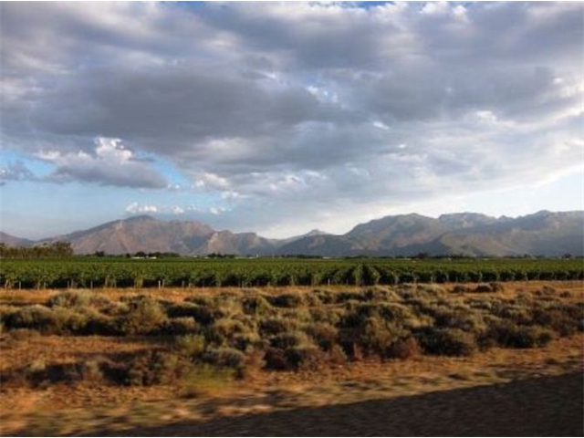 Adi_in_SA_-_Landscape136