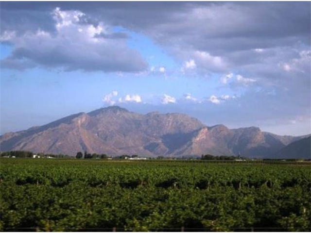 Adi_in_SA_-_Landscape137 - Copy