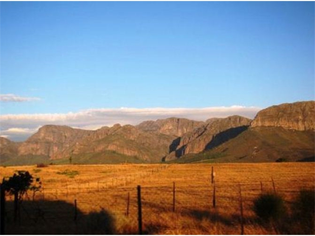 Adi_in_SA_-_Landscape140